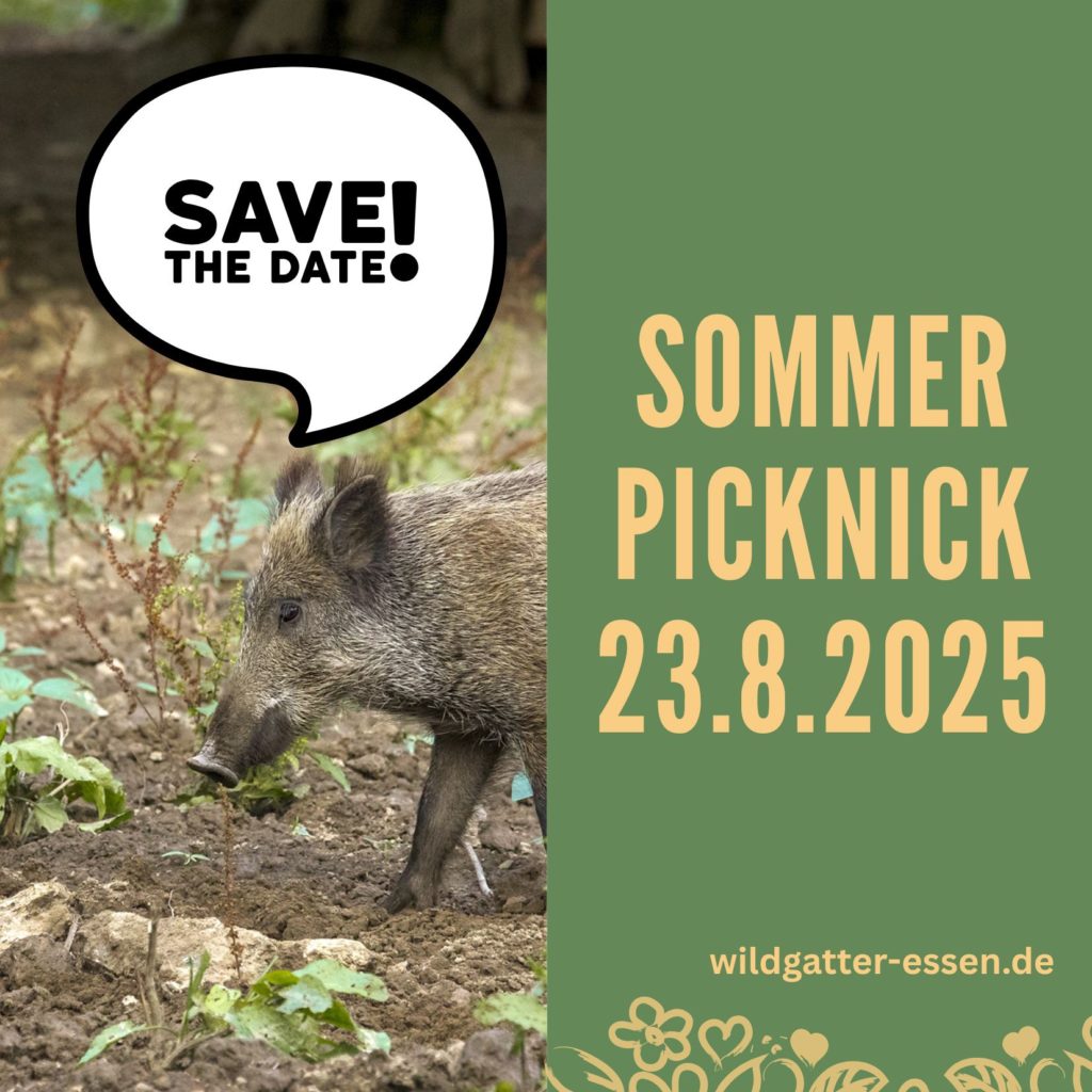 Sommerpicknick