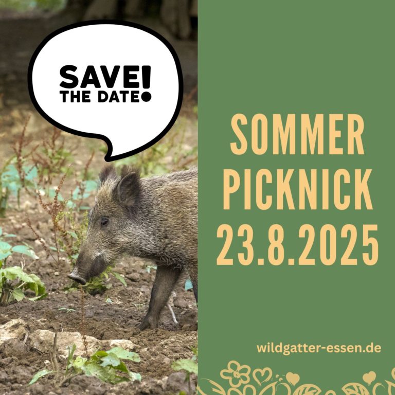 Sommerpicknick