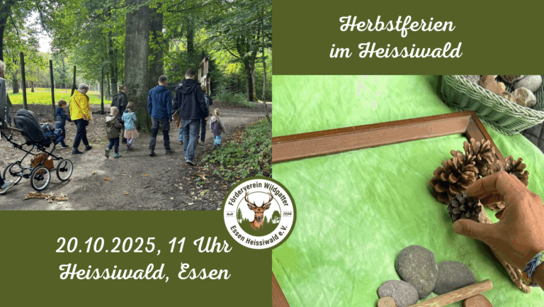 Herbstferien Heissiwald Essen www