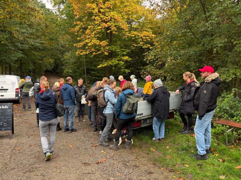 Kastanienfest 2026 im Heissiwald
