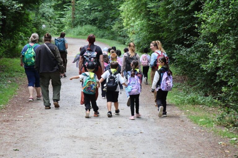 Mein Tag im Heissiwald